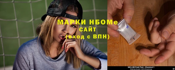 твердый Горняк