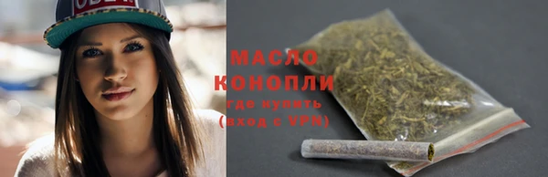 твердый Горняк