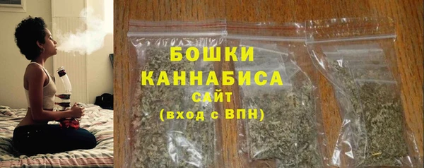 Альфа ПВП Гусев